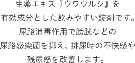 生薬エキス『ウワウルシ』を有効成分とした飲みやすい錠剤です。尿路消毒作用での膀胱などの細菌の働きを抑え、排尿時の不快感や残尿感を改善します。
