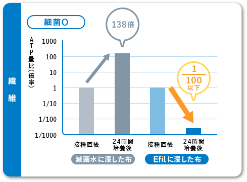 繊維【細菌Ｏ】