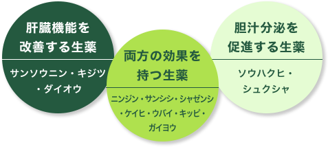 肝臓機能を改善する生薬 両方の効果を持つ生薬 胆汁分泌を促進する生薬