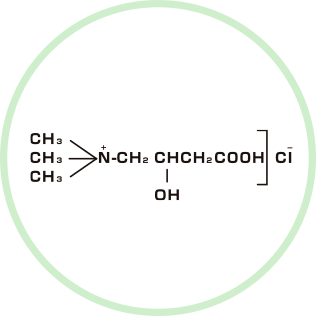 カルニチン塩化物