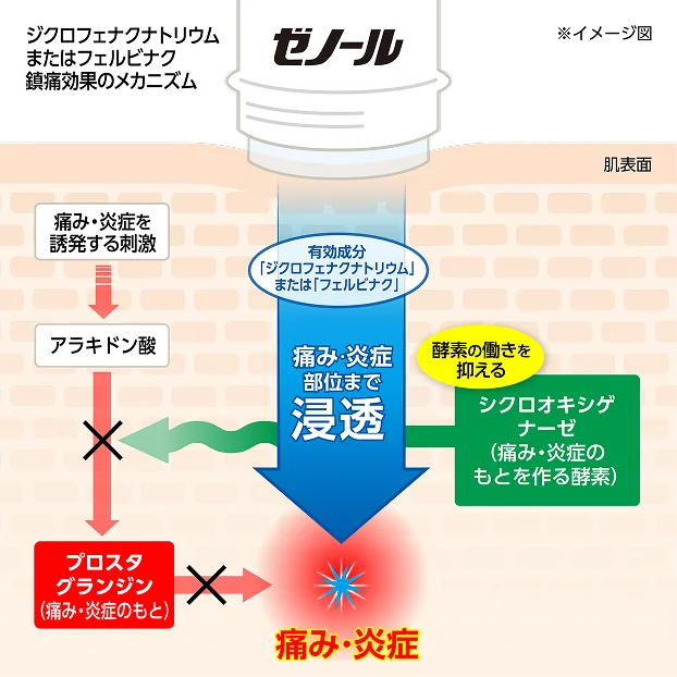 ジクロフェナクナトリウムまたはフェルビナク 鎮痛効果のメカニズム
