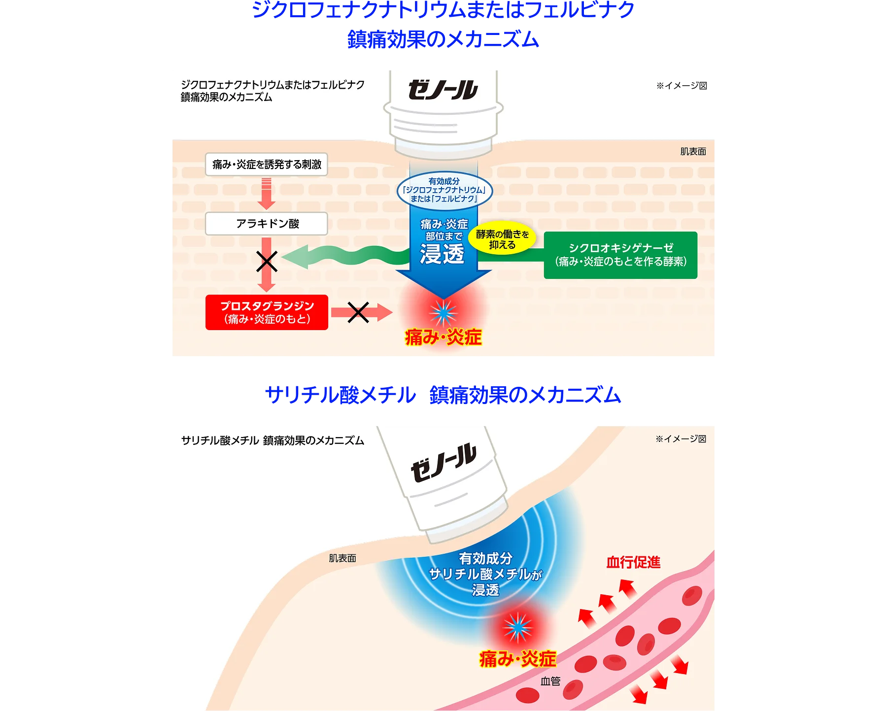 ジクロフェナクナトリウムまたはフェルビナク サリチル酸メチル 鎮痛効果のメカニズム