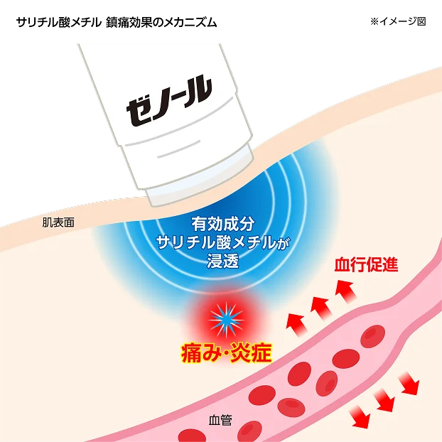 サリチル酸メチル 鎮痛効果のメカニズム