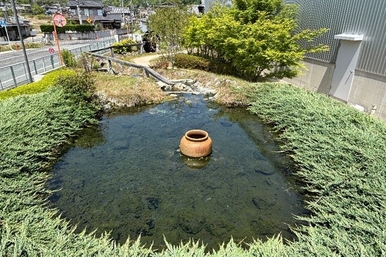 ビオトープ
