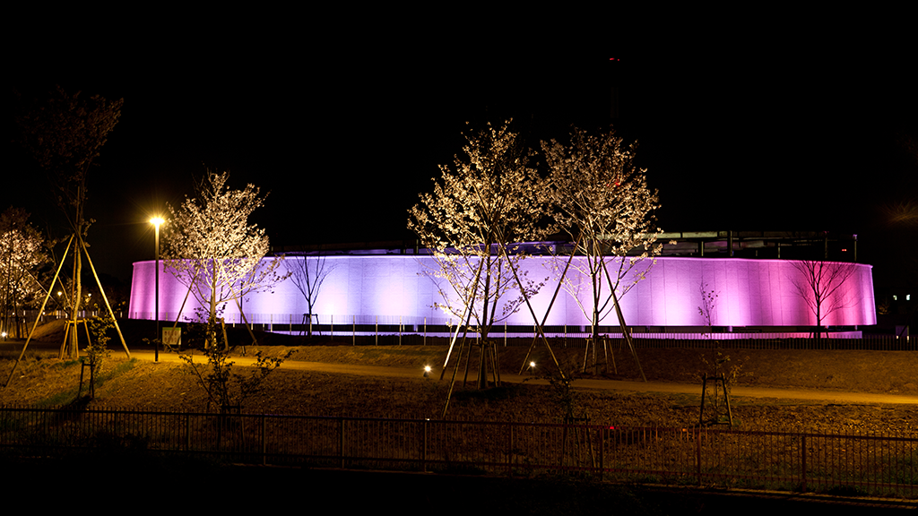 Kitajima Plant Illuminated