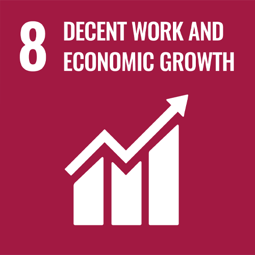 8. Promote inclusive and sustainable economic growth, employment and decent work for all