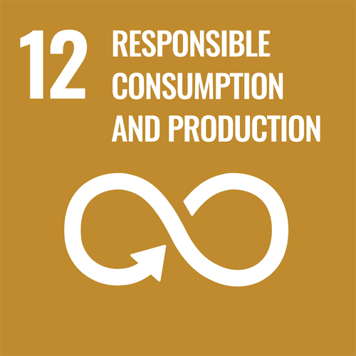 12. Ensure sustainable consumption and production patterns