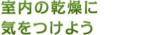 室内の乾燥に気をつけよう