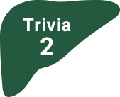 Trivia2