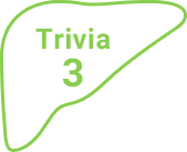 Trivia3