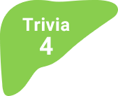 Trivia4