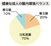 健康な成人の腸内環境バランス図：善玉菌20% 悪玉菌10% 日和見菌70%