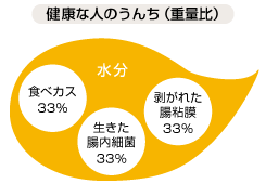 健康な人のうんち（重量比）