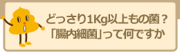 どっさり1Kg以上もの菌？「腸内細菌」って何ですか