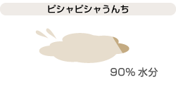 ピシャピシャうんち