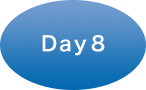 Day 8