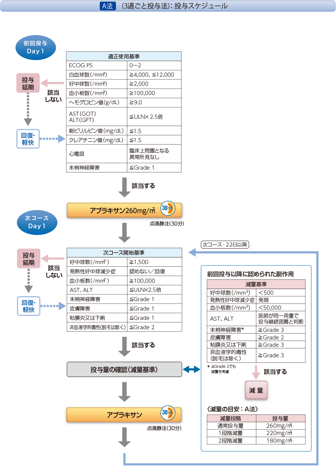 A法 3週ごと投与法・投与スケジュール