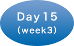 Day 15（Week 3）