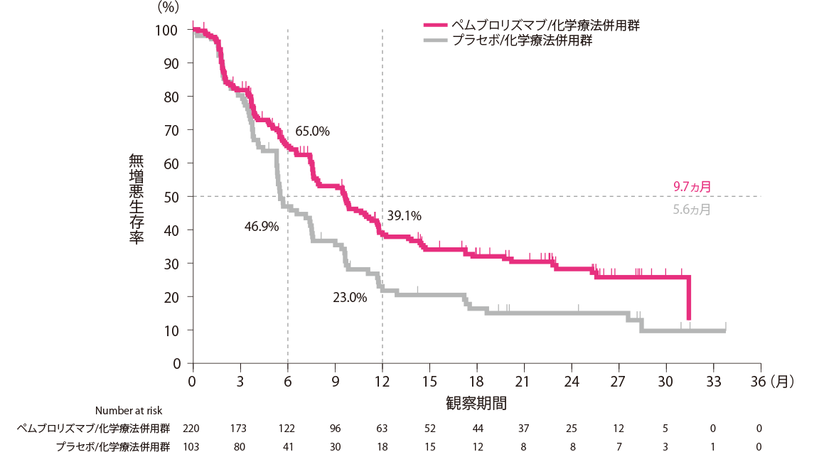 無増悪生存期間（Kaplan-Meier曲線）：PD-L1陽性（CPS≧10）集団