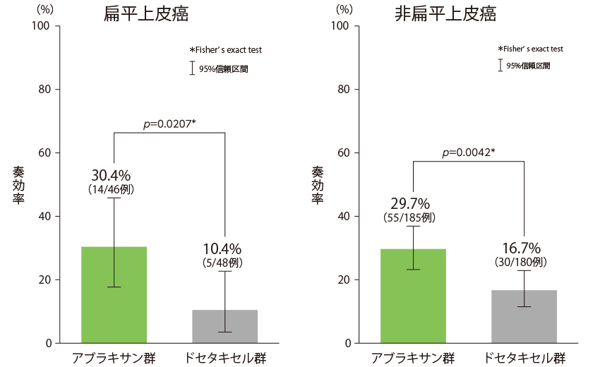 全奏効率（サブグループ解析）