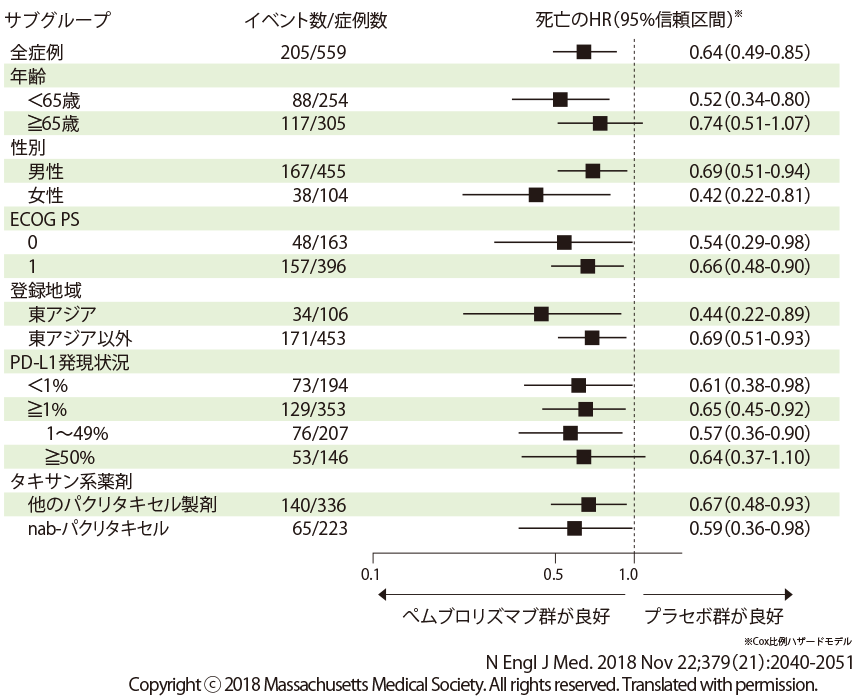 全生存期間のサブグループ解析