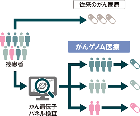 がんゲノム医療について | がんゲノム医療 | リトゴビ | 大鵬薬品工業 -医療関係者向け情報-