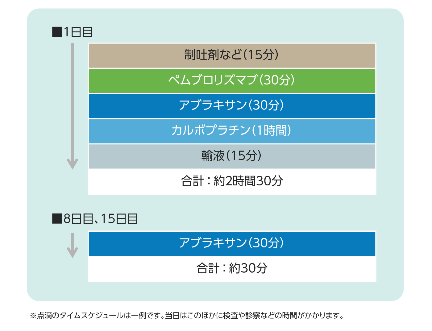 治療スケジュール