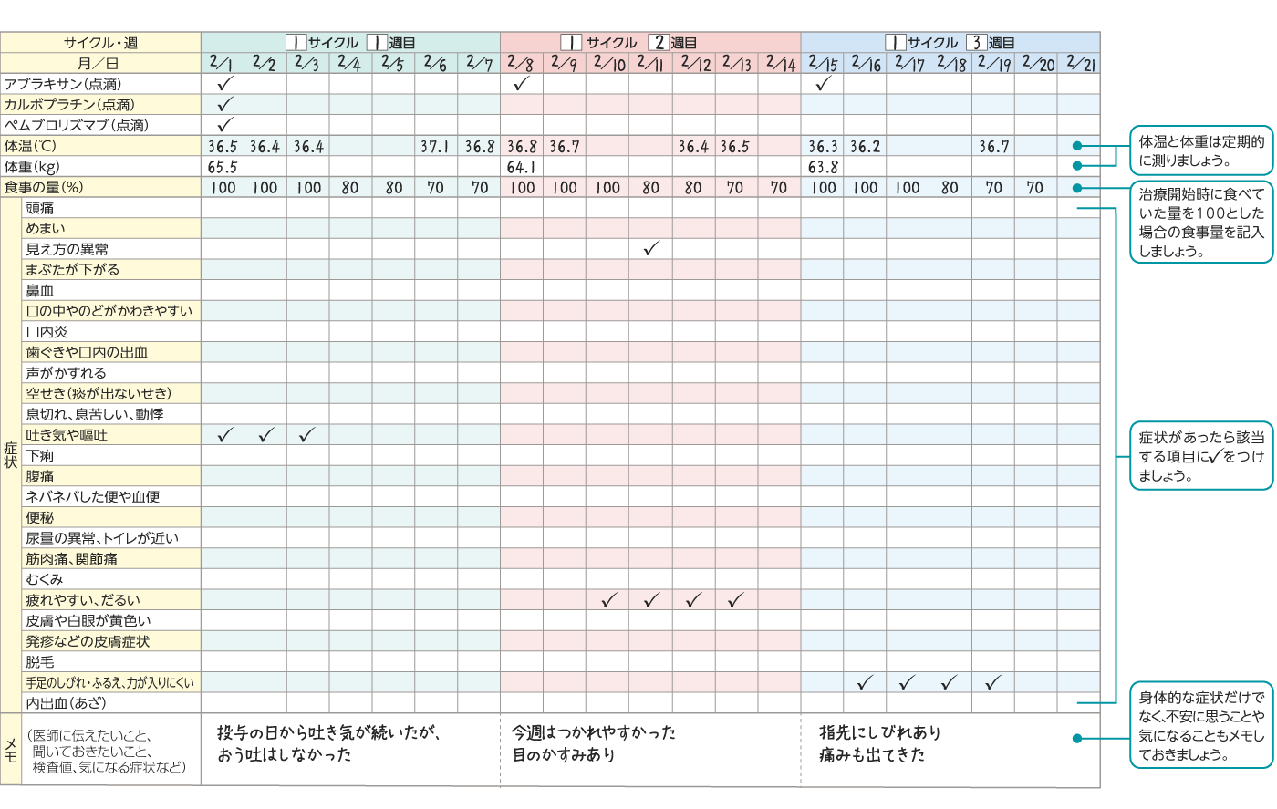 治療日記 記入例