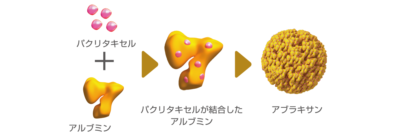 アブラキサンにはなぜアルブミンが加えられているのですか?