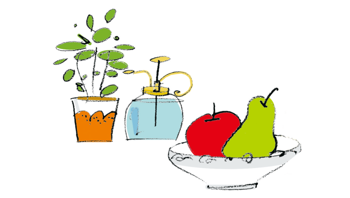 イラスト