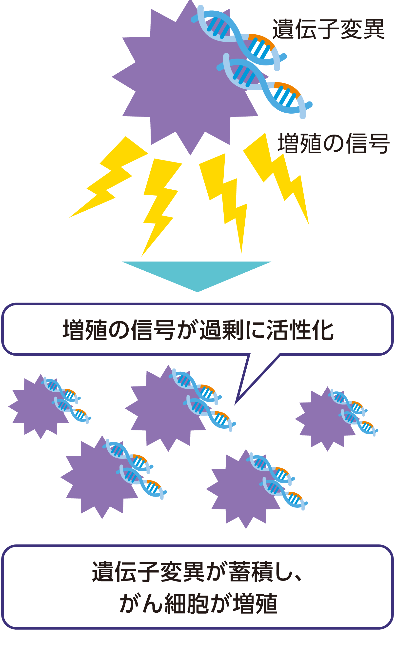 がん細胞