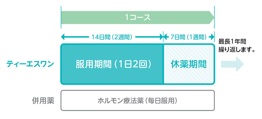 治療スケジュール 図説