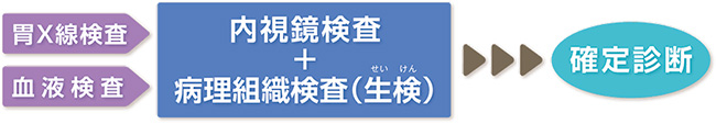 確定診断までの流れ説明図