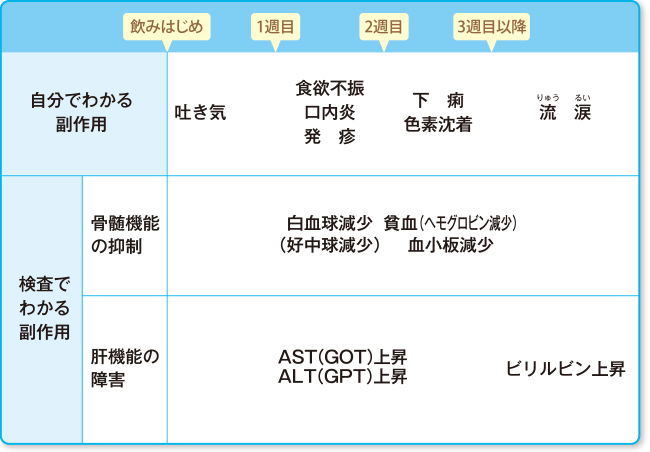 おもな副作用の現れる時期の目安の説明図