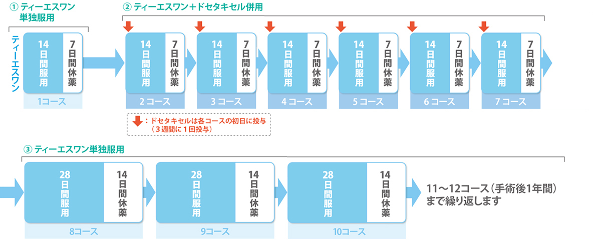 ドセタキセル併用治療のスケジュールの説明図