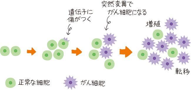 「がん」についての説明図