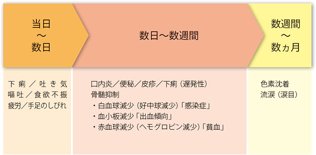 発現しやすい副作用と発現時期のめやすの説明図