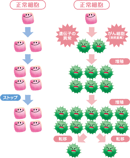 がん細胞発生のしくみ