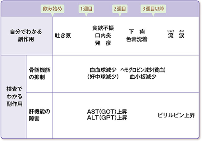 おもな副作用の現れる時期の目安の説明図