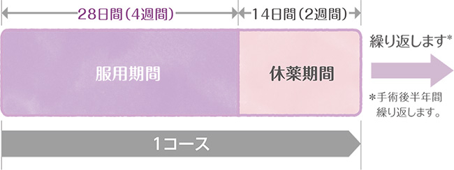 治療スケジュールの説明図