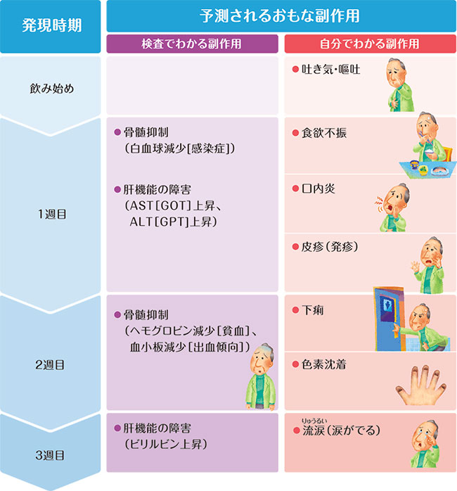 おもな副作用と発現時期についての説明図