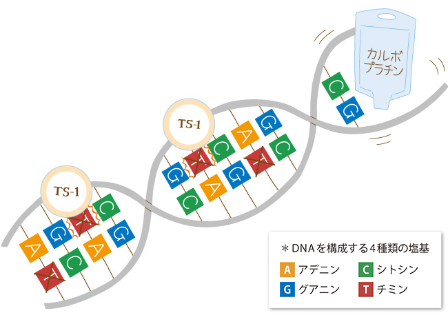 ティーエスワンとカルボプラチンの効果の説明図