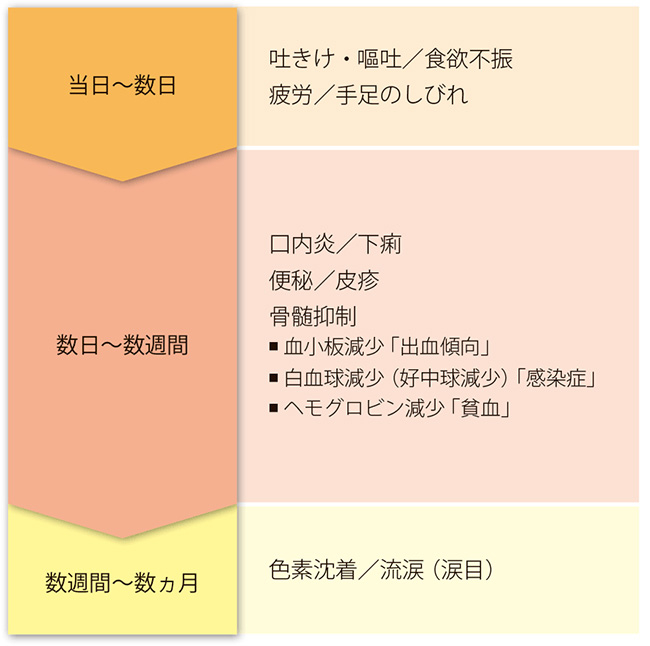 発現しやすい副作用と発現時期の目安の説明図