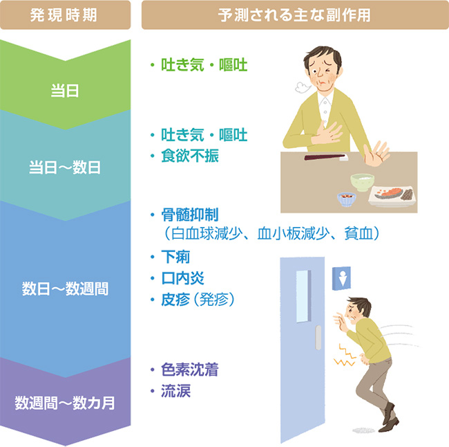 ティーエスワン＋シスプラチン併用療法によるおもな副作用と発現時期の説明図