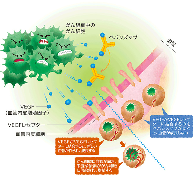 ベバシズマブの説明図