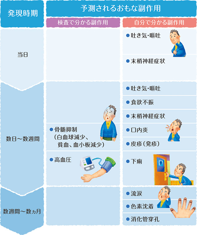 おもな副作用と発現時期についての説明図