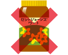 セント・ジョーンズ・ワート(セイヨウオトギリソウ)
