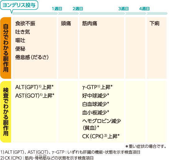 おもな副作用の現れる時期