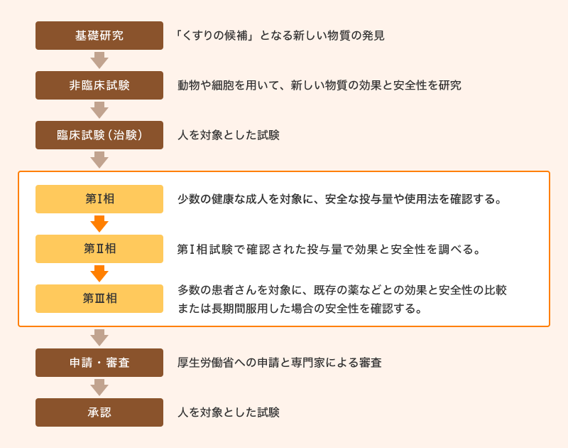 基礎研究→非臨床試験→臨床試験（治験）→第Ⅰ相→第Ⅱ相→第Ⅲ相→申請・審査→承認